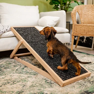 Ack Ahşap Köpek Rampası - Kedi Rampası