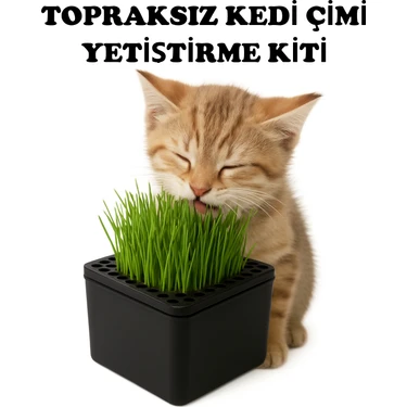 Ural 3D Kedi Çimi Otu Tekrar Kullanılabilir Topraksız Yetiştirme