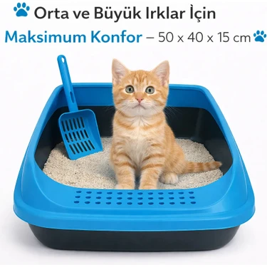 Hayke Kürekli Açık Kedi Tuvaleti - Sıçrama Önleyici Yüksek Kenarlı Kedi Kumu