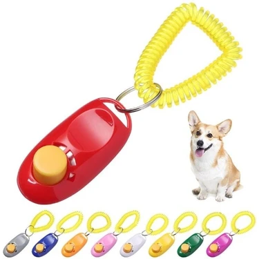 Alfa Life Marketing Köpek Eğıtımı