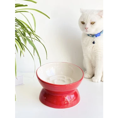 Seramik Yavaş Yeme Kedi Mama Kabı