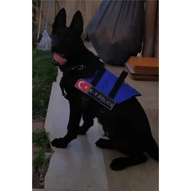 MG Tasma Kişiye Özel, Isimli K9 Köpek Tasması, Göğüs ve Sırt Tasması Seti