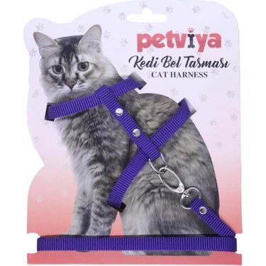 Petviya Kedi Gögüs (Bel) Tasmasi