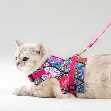 Pati Patron Kaçış Önleyici Kedi Gezdirme