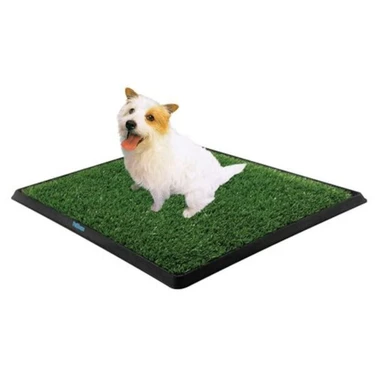 Topdan Köpek Tuvalet Eğitim