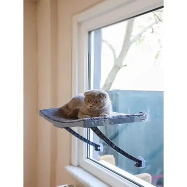 Genel Tedarik Kedi Yatağı Cam Ve