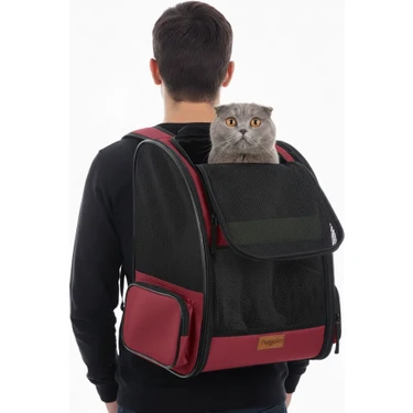 PUGALO AirMove Premium Kedi Köpek Taşıma Çantası | Silinebilir | Yırtılmaz Fileli | Bükülmez Gövde