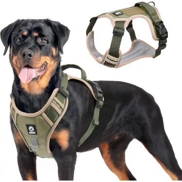 Duomm Köpek Tasması ve Gezdirme Halatı Göğüs ve Sırt Setli