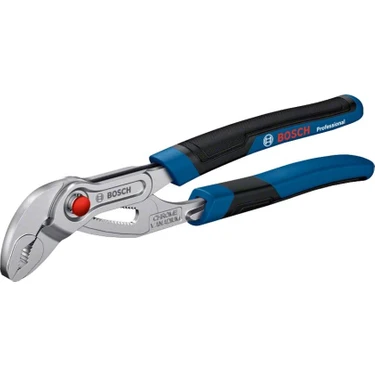 Bosch Professional Su Pensesi 250MM -