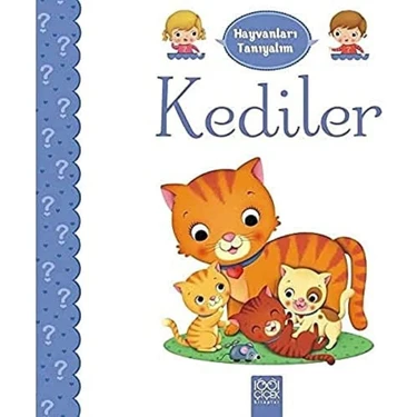 Braventa Collection Kediler: Hayvanları