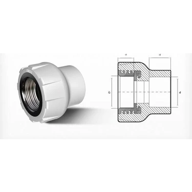 Aesco Ege Yıldız Pprc 50X1 1/2 Dişi Adaptör